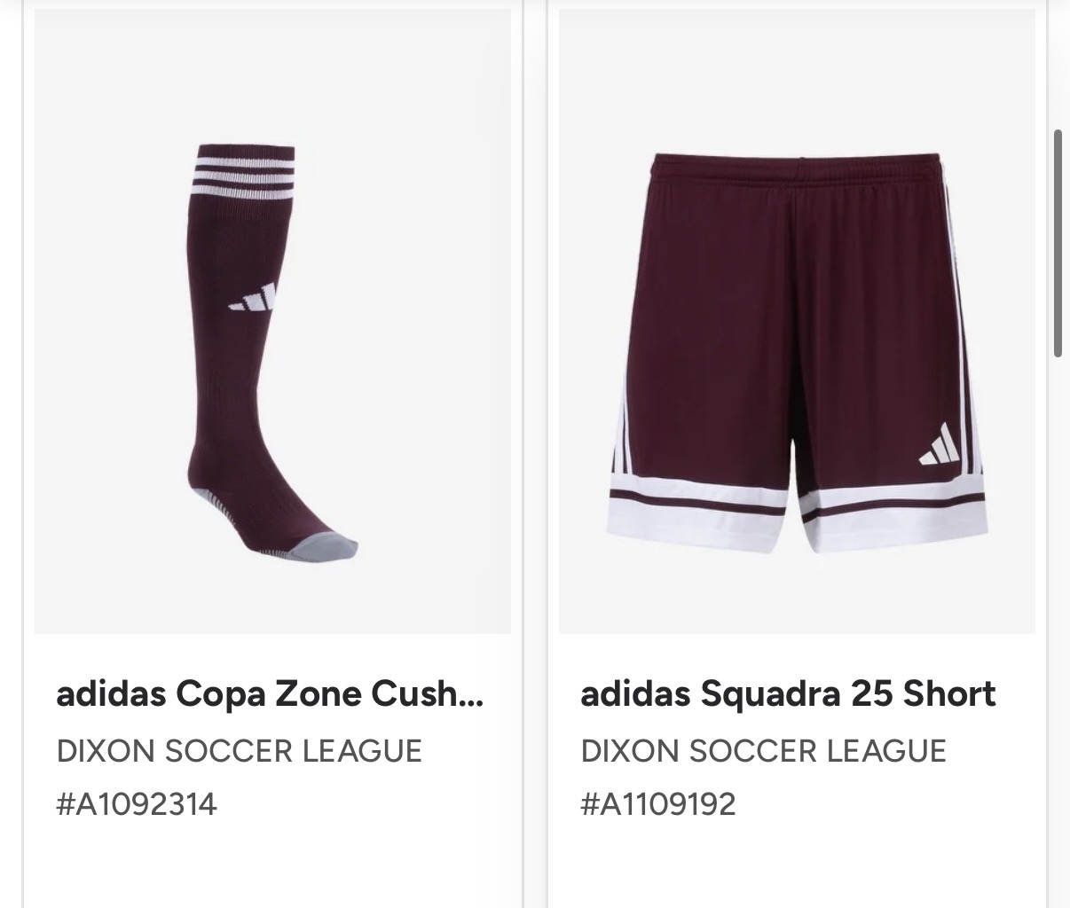 DSL Shorts and Socks