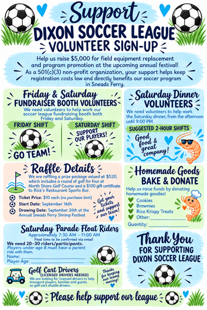 DSL Volunteer Details
